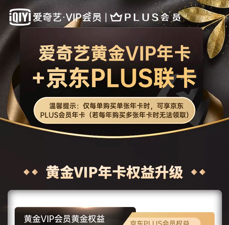 限时 24 小时：京东 PLUS + 爱奇艺 VIP 年卡 = 149 元,第3张